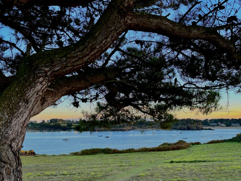 L'atmosphère paisible de l'Île Besnard