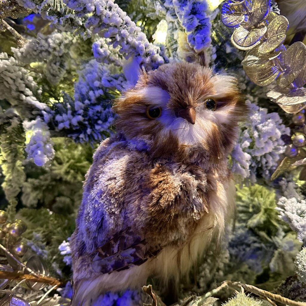 Emile le hibou du Gravensteen