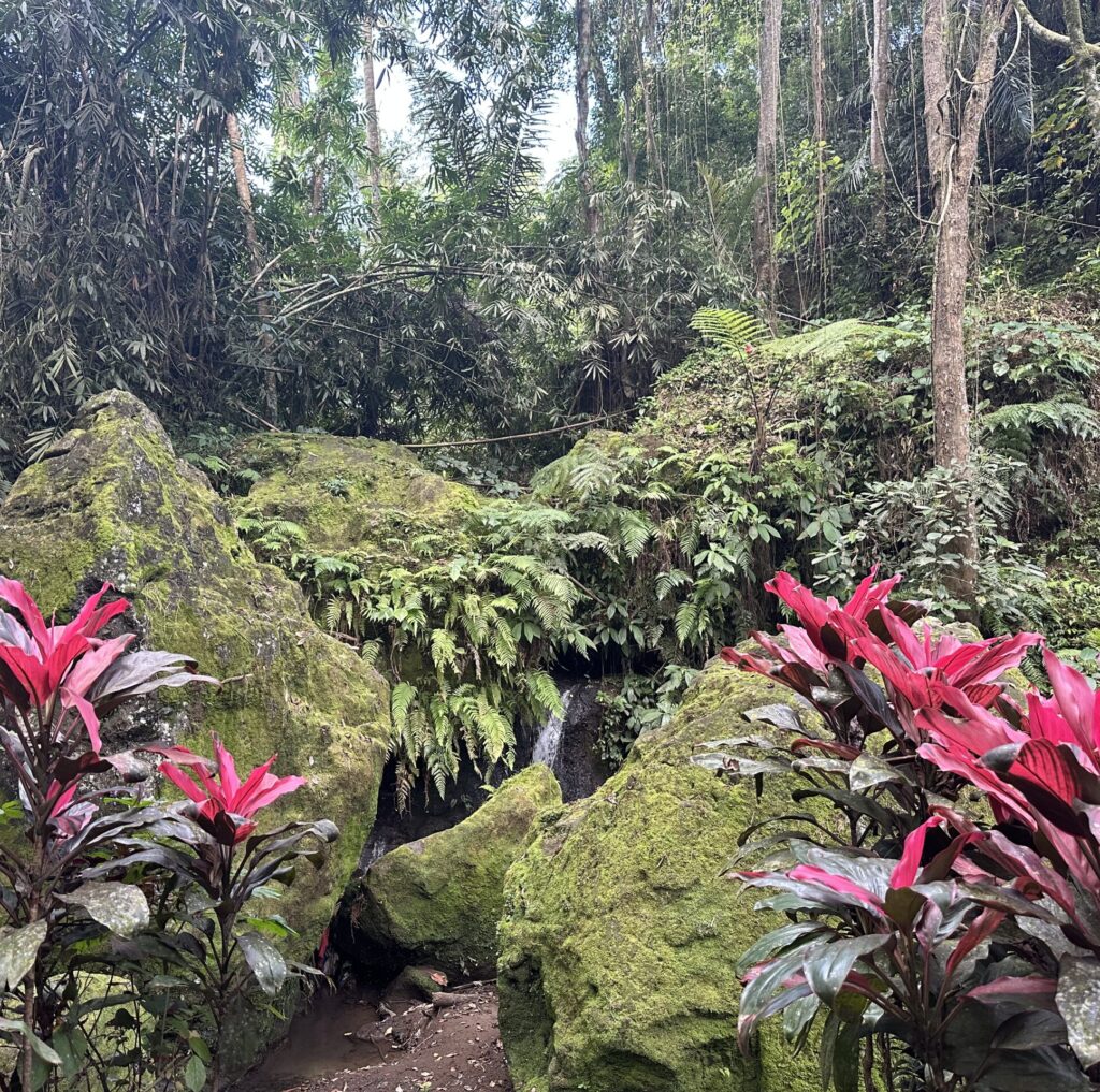 Goa Gajah