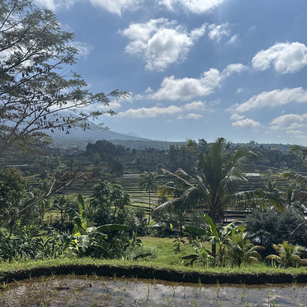 Rizières de Jatiluwih