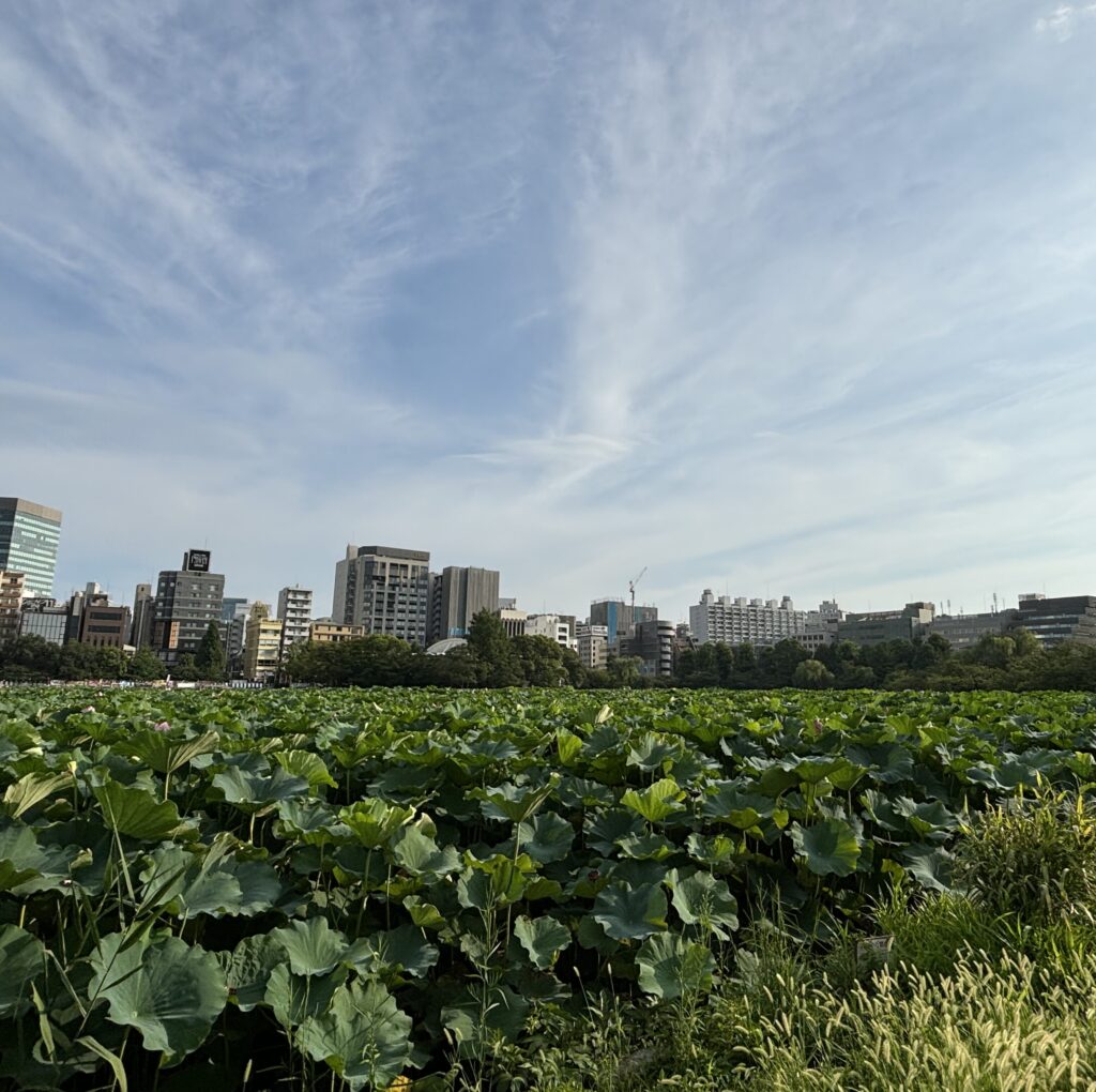 Ueno